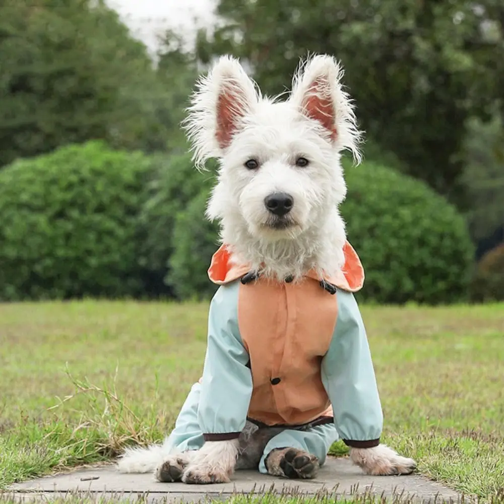 Waterproof Dog Reflective Four-Legged Jacket Breathable Polyester Dog Raincoat with Hood with Traction Port Windbreak
Waterproof Dog Reflective Four-Legged Jacket Breathable Polyester Dog Raincoat with Hood with Traction Port Windbreak