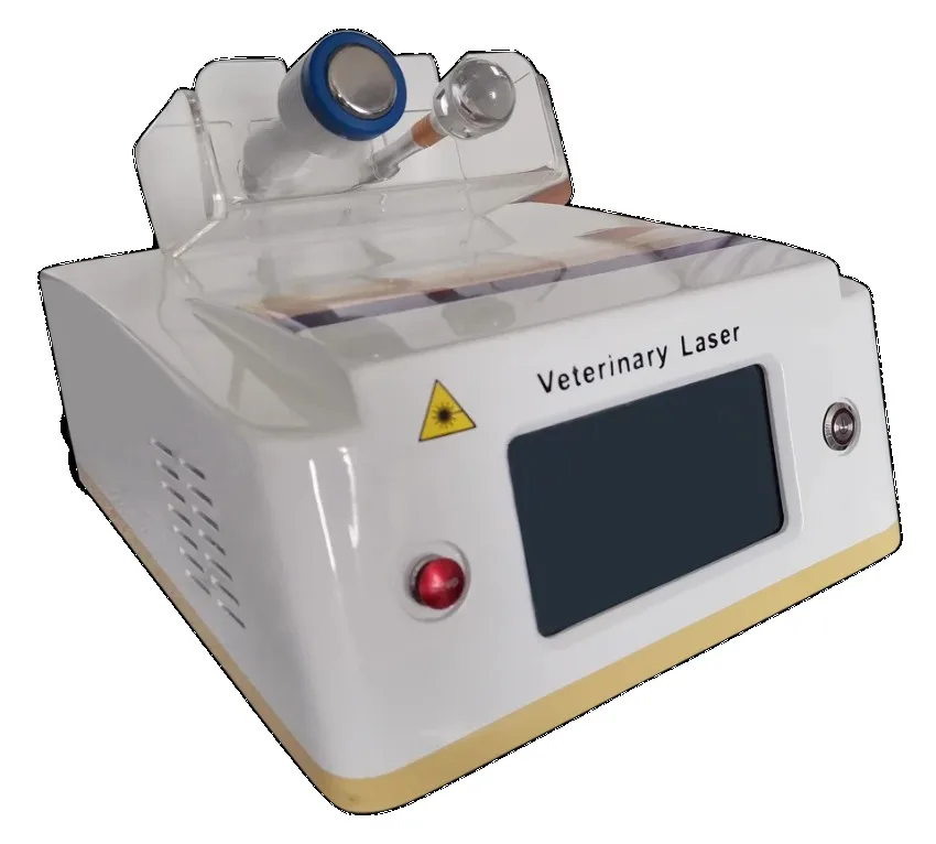 Freckle Removal Laser 980 Wound Healing Pain Veins 980 30W For Animal Pain Removal Free Shipment
Freckle Removal Laser 980 Wound Healing Pain Veins 980 30W For Animal Pain Removal Free Shipment