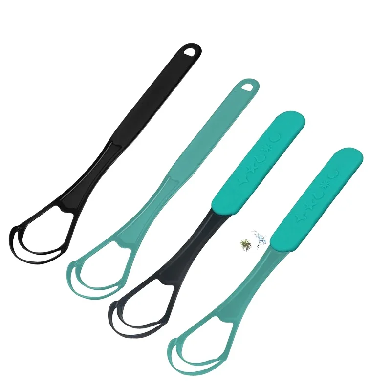 Двухслойный скребок для языка, силиконовый скребок для языка, щетка для чистки пищевого класса, одиночный уход за полостью рта для поддержания свежести дыхания, гигиены полости рта
Двухслойный скребок для языка, силиконовый скребок для языка, щетка для чистки пищевого класса, одиночный уход за полостью рта для поддержания свежести дыхания, гигиены полости рта