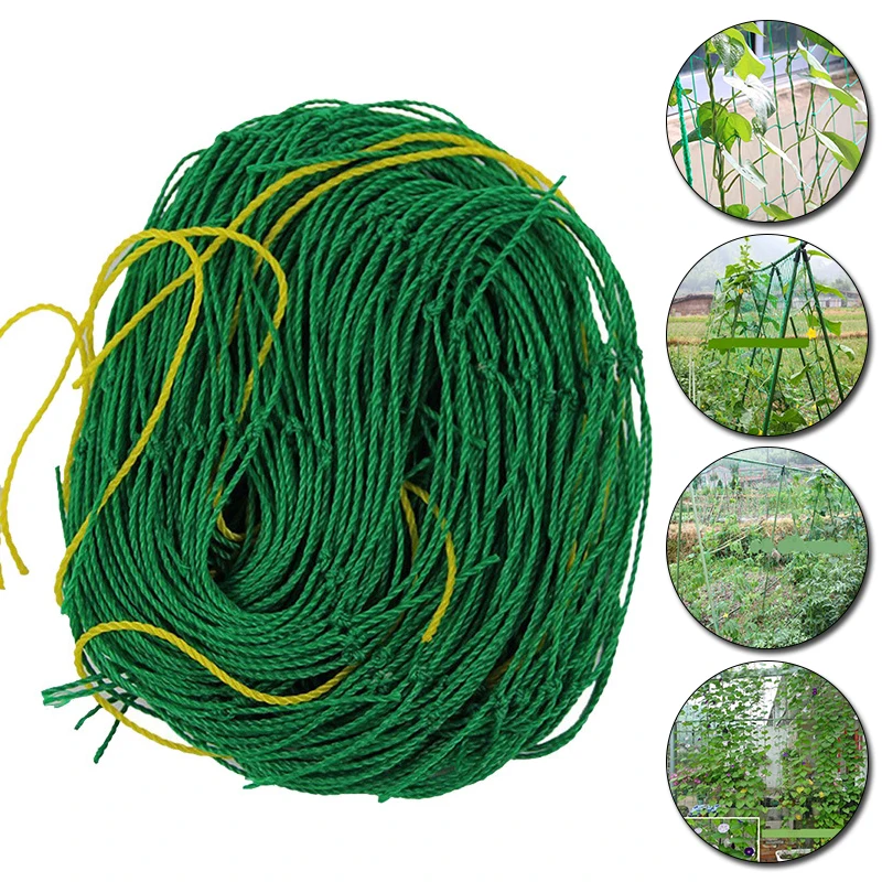 27 Strands Plant Protective Climbing Net Garden Nylon Morning Glory Flower Vine Netting Support Grow Net Holder Fence Crops Mesh
27 Strands Plant Protective Climbing Net Garden Nylon Morning Glory Flower Vine Netting Support Grow Net Holder Fence Crops Mesh