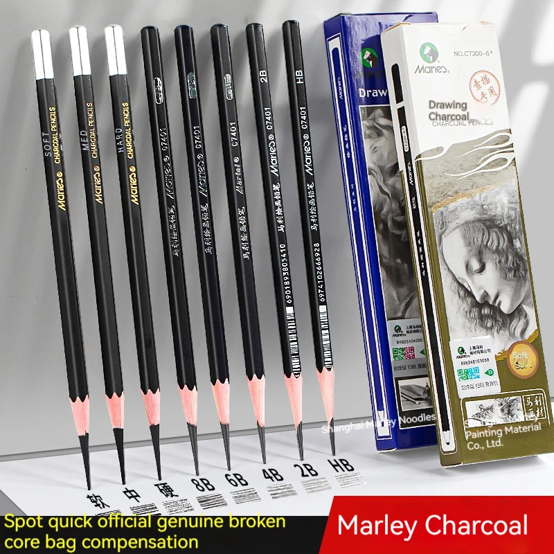 12 Pieces Art Pencils Professional Drawing Sketching Pencil Set, Graphite Shading Pencils for Beginners & Pro Artists
12 Pieces Art Pencils Professional Drawing Sketching Pencil Set, Graphite Shading Pencils for Beginners & Pro Artists