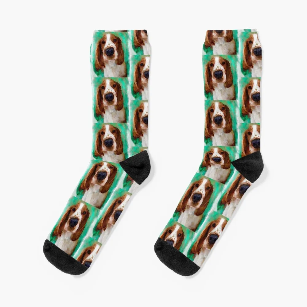 

Welsh Springer Spaniel Puppy Art Socks cute gifts summer Men's Socks Luxury Women's