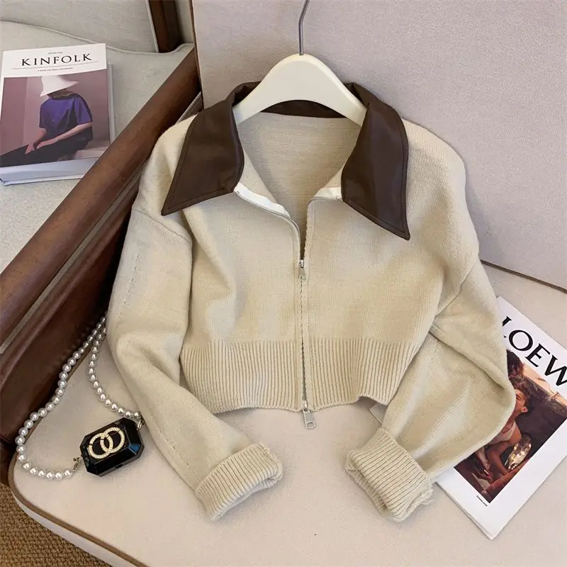 Korean Style Short Polo Neck Knitted Cardigan with Double Zipper Lazy Style Sweater Versatile Top for Women in Autumn and Winter
Korean Style Short Polo Neck Knitted Cardigan with Double Zipper Lazy Style Sweater Versatile Top for Women in Autumn and Winter