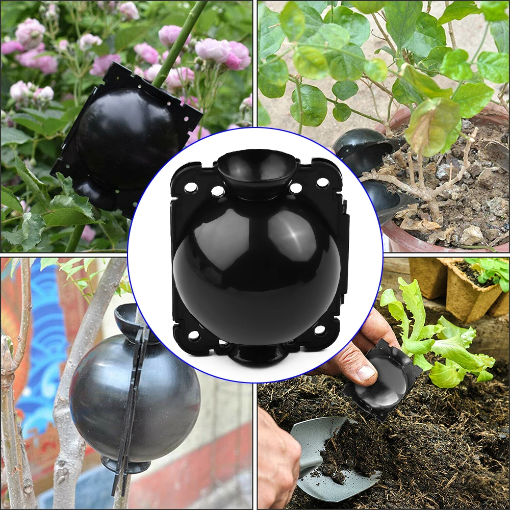 Propagation Plant Rooting Boxes PP Plastic Pressure Propagation Root Device S M L Safety Locks Wear-resistance
Propagation Plant Rooting Boxes PP Plastic Pressure Propagation Root Device S M L Safety Locks Wear-resistance
