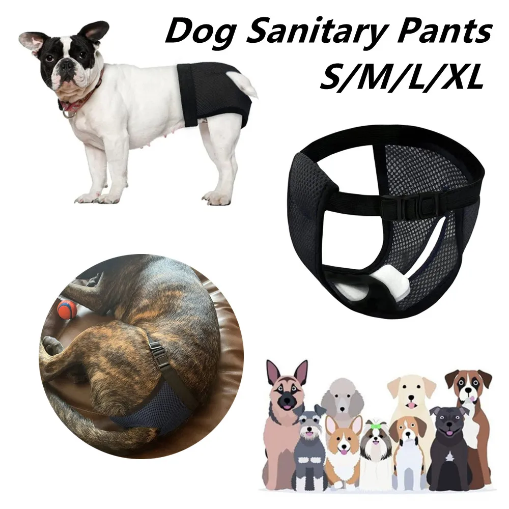 4 Size Dog Physiological Pants Reusable Diapers Pet Breathable Mesh Flexible Adjusting Buckle Washable Sanitary Wraps Pet Supply
4 Size Dog Physiological Pants Reusable Diapers Pet Breathable Mesh Flexible Adjusting Buckle Washable Sanitary Wraps Pet Supply
