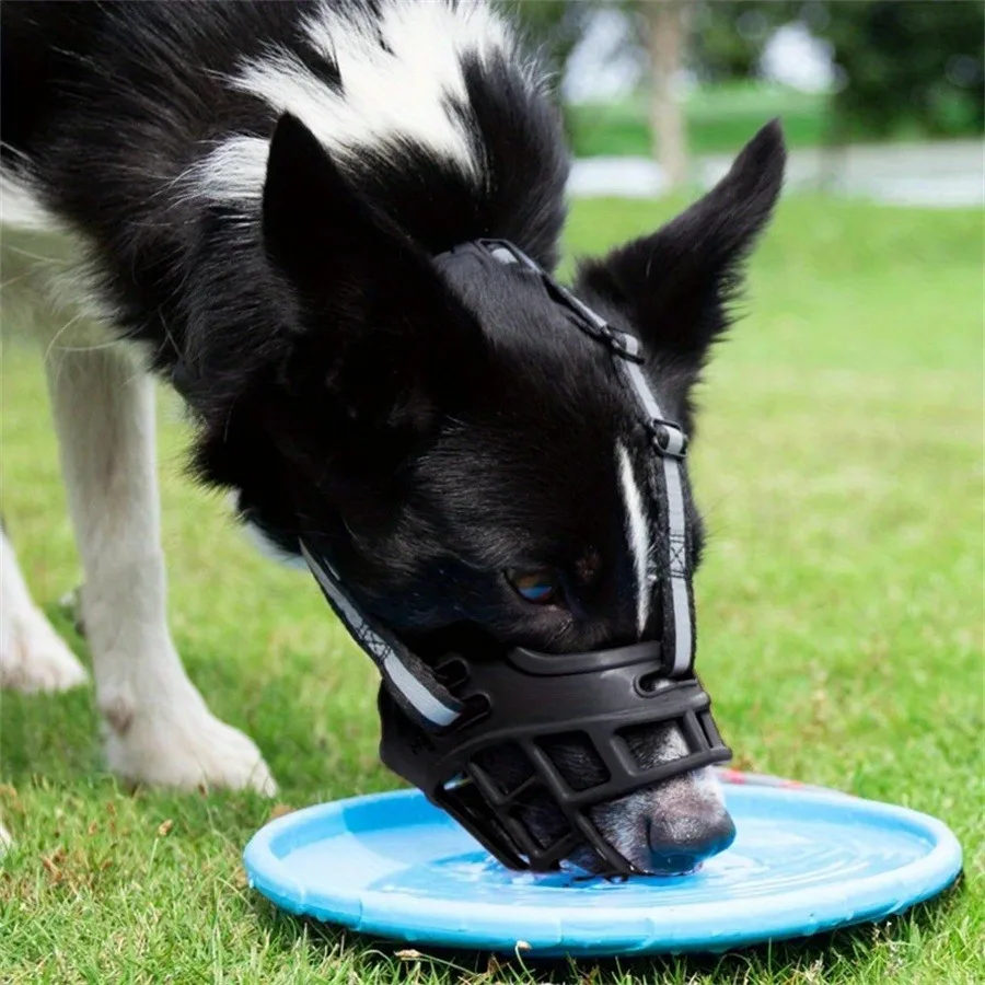 Adjustable Dog Muzzle | Breathable Comfortable for Small to Large Dogs A close-up side profile of a black and white Border Collie wearing a black basket muzzle with reflective grey straps. The dog is leaning down toward a blue plastic water dish on the grass, demonstrating the muzzle