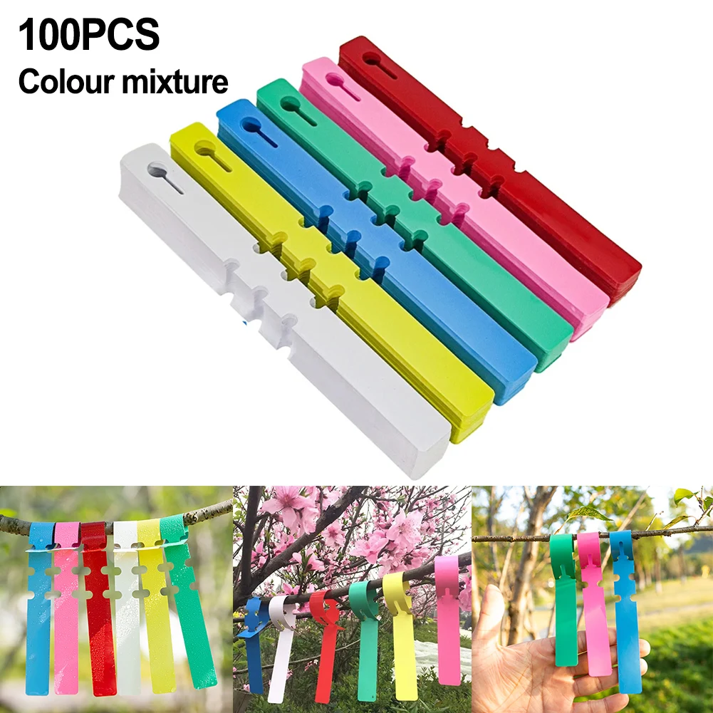 100pcs Garden Plant Markers PVC Waterproof Plant Hanging Tags Gardening Plant Marker Label Tools Garden Pots Planters Supplies
100pcs Garden Plant Markers PVC Waterproof Plant Hanging Tags Gardening Plant Marker Label Tools Garden Pots Planters Supplies