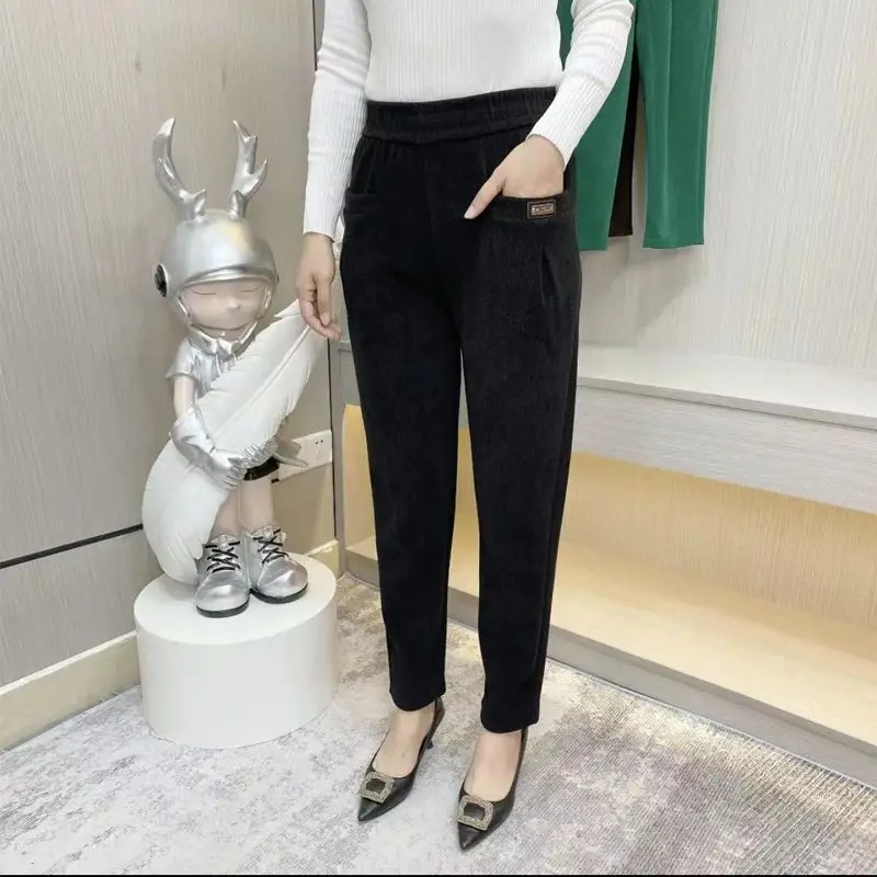 

Pockets Plush Harlan Trousers Autumn Winter Women's Fashionable Elastic High Waisted Loose and Slim Casual Cropped Radish Pants