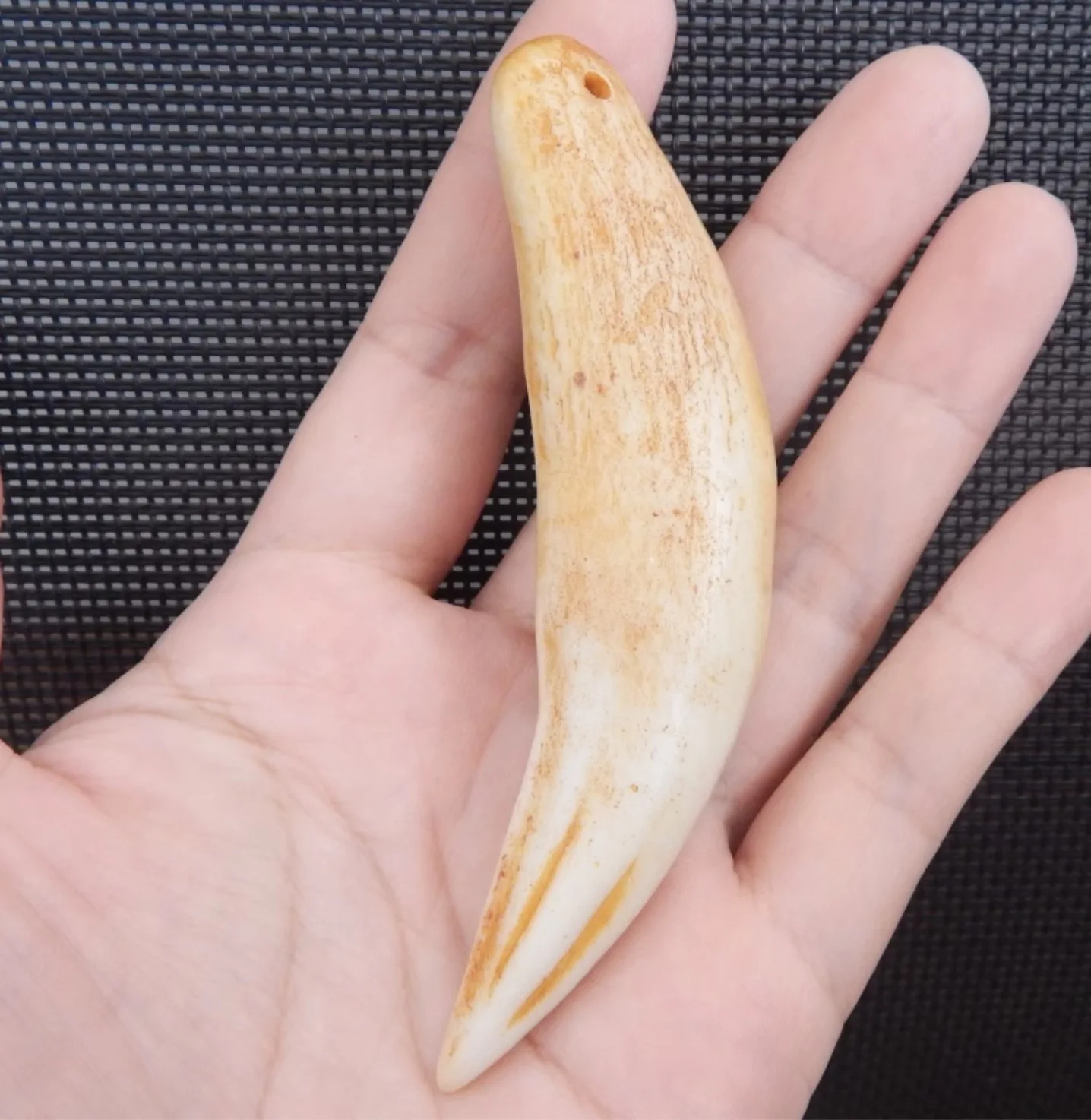 

Cultural and Animal Tooth Gift Imitation Big Cat Dog Tooth Camel Tooth Pendant