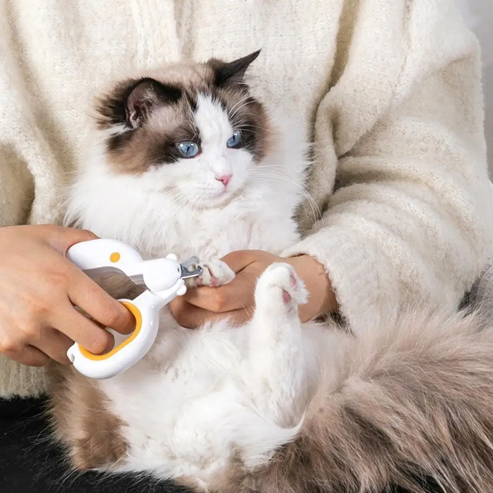 Новый профессиональный набор для стрижки когтей домашних животных с пилочкой, ножницы для ухода за когтями со светодиодной лампой для маленьких собак и кошек 
Новый профессиональный набор для стрижки когтей домашних животных с пилочкой, ножницы для ухода за когтями со светодиодной лампой для маленьких собак и кошек