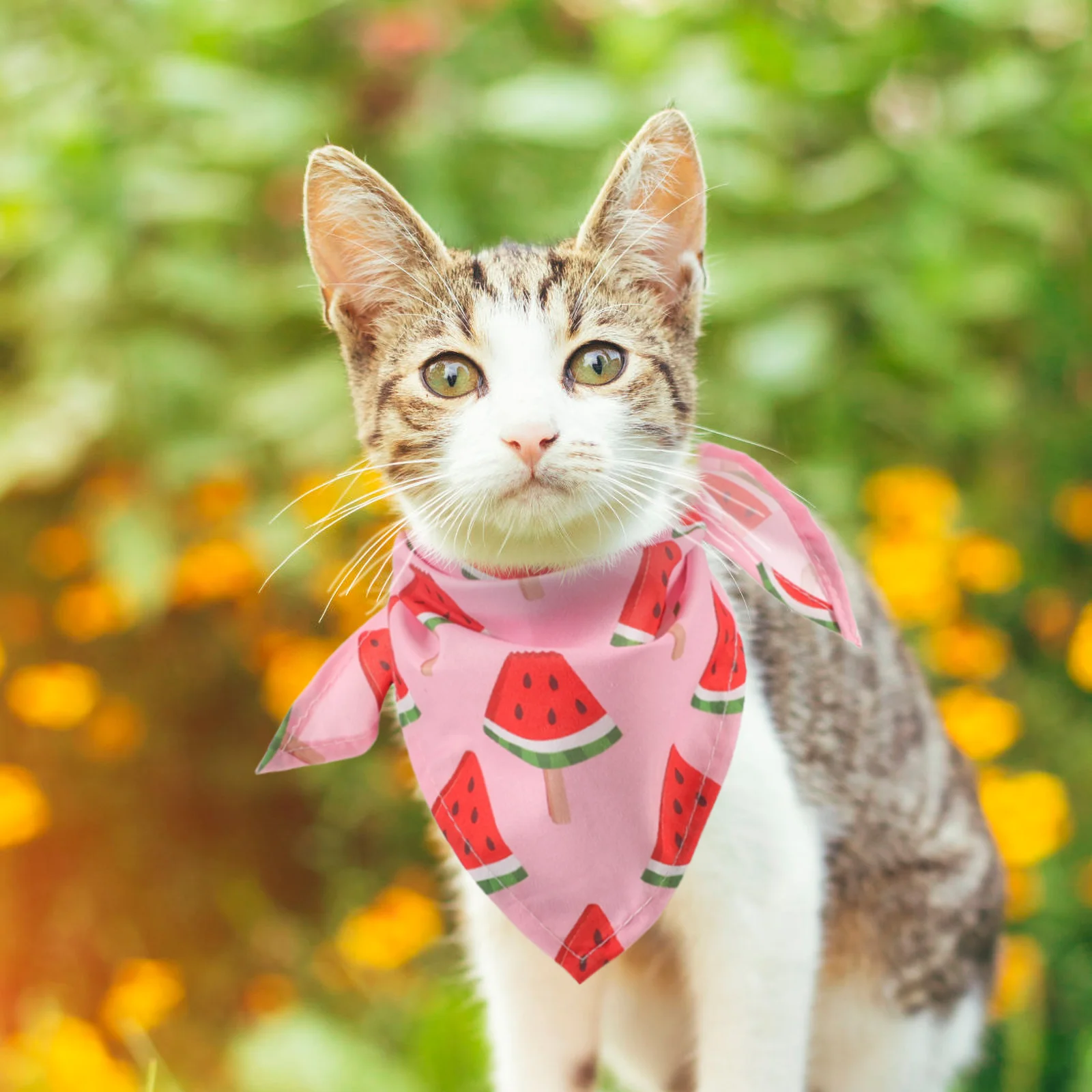 Pet Bib Puppy Bandana Party Scarf Dog Triangular Decor Birthday Decoration for Girl Decorate Costume Polyester Strawberry
Pet Bib Puppy Bandana Party Scarf Dog Triangular Decor Birthday Decoration for Girl Decorate Costume Polyester Strawberry