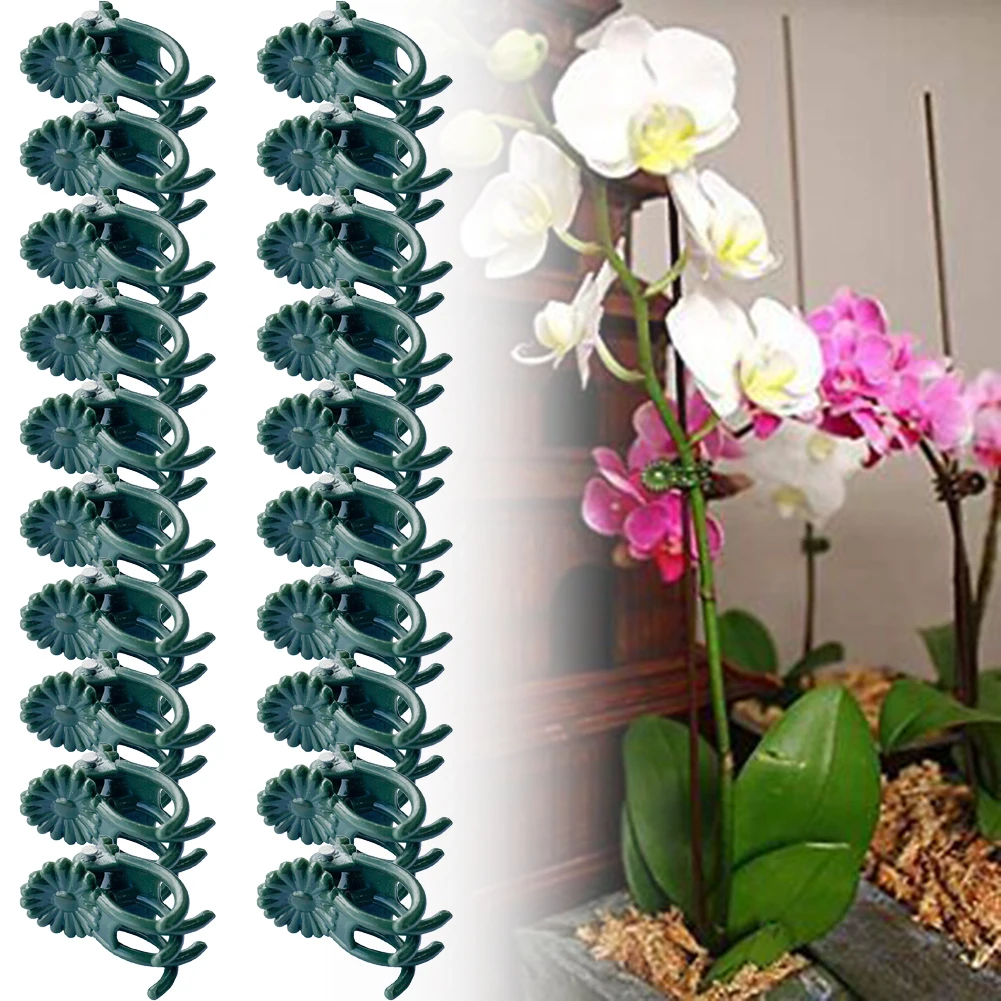 20pcs Orchid Clips Plant Support Stem Clamps Garden Flower Vine Planting Support Accessories For Indoor And Outdoor
20pcs Orchid Clips Plant Support Stem Clamps Garden Flower Vine Planting Support Accessories For Indoor And Outdoor
