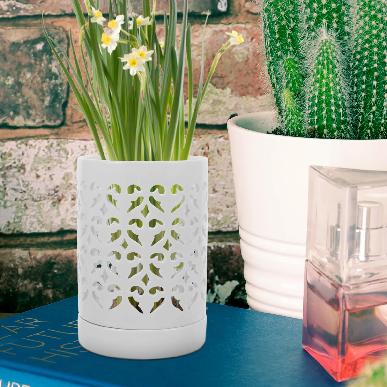 Orchid Pot With Holes Orchid Pot Orchid Planter Flower Pot Ceramic Flower Pot For Repotting Flower Planter Pot Indoor Outdoor
Orchid Pot With Holes Orchid Pot Orchid Planter Flower Pot Ceramic Flower Pot For Repotting Flower Planter Pot Indoor Outdoor