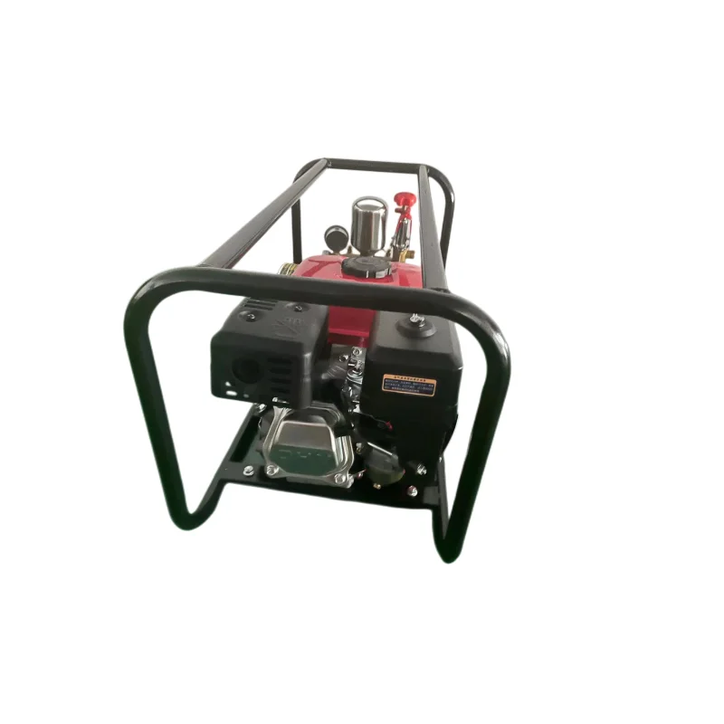 High Quality Agricultural Power Machine With High Pressure Hose Gasoline Engine Spray Gun Sprayer Plunger Pump
High Quality Agricultural Power Machine With High Pressure Hose Gasoline Engine Spray Gun Sprayer Plunger Pump
