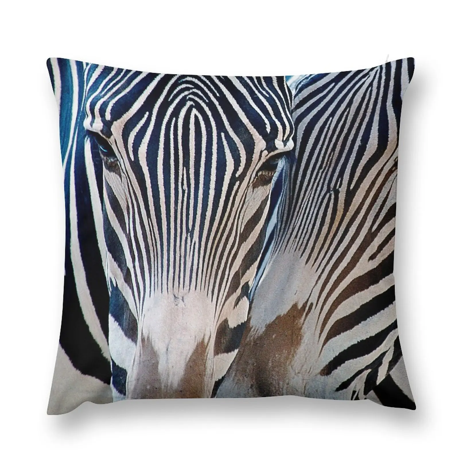 

Zebra Patterns Throw Pillow Decorative Cushion Cover Christmas Pillows luxury home accessories