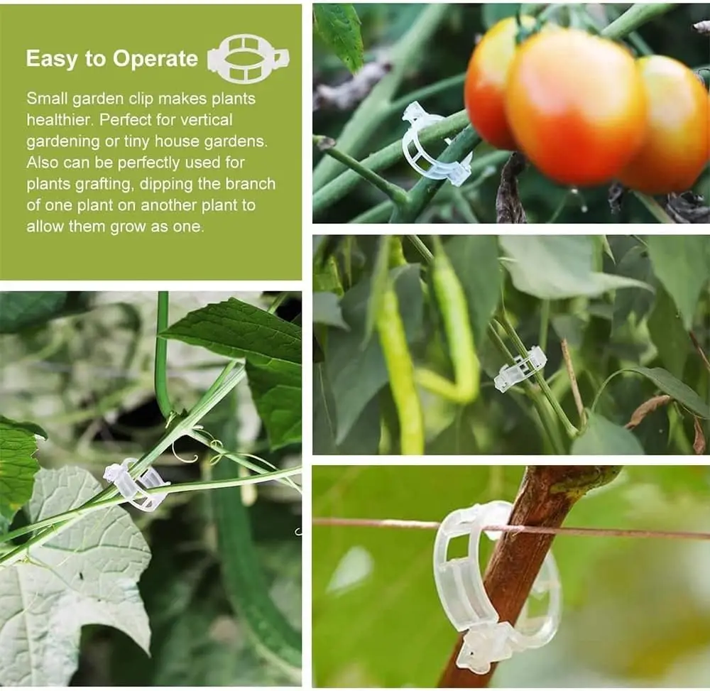 50 PCS Plant Vine Support Clips, Reusable Plastic Garden Clips Support Clips for Climbing Plants Cucumbers Peppers Vegetables
50 PCS Plant Vine Support Clips, Reusable Plastic Garden Clips Support Clips for Climbing Plants Cucumbers Peppers Vegetables