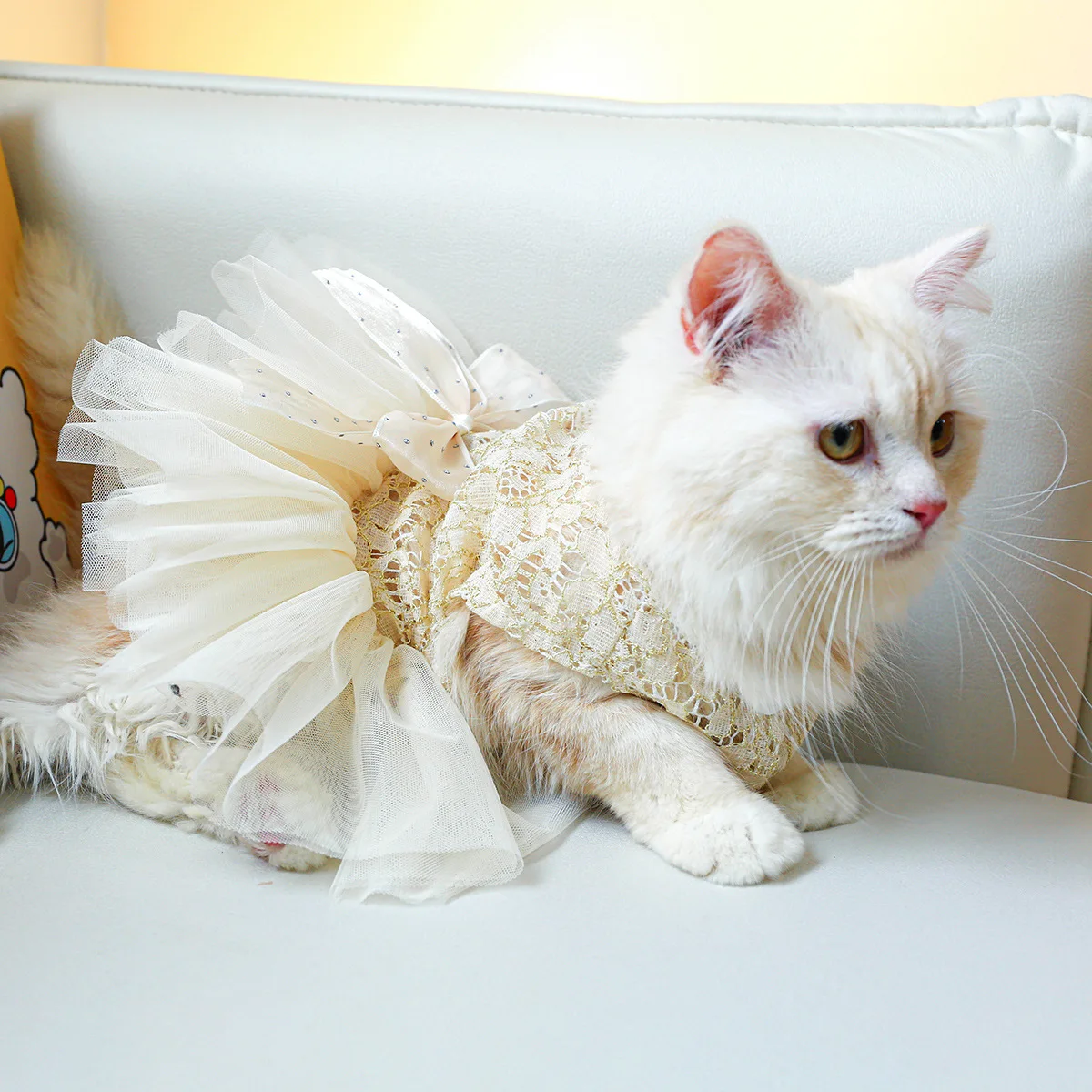 Pet Clothing, Cat Clothing, Spring and Summer New Products, Palace Wedding Dress, Lace, Pure Gold Dress, Cat Clothing
Pet Clothing, Cat Clothing, Spring and Summer New Products, Palace Wedding Dress, Lace, Pure Gold Dress, Cat Clothing