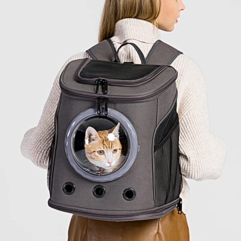 Transparent Space Capsule Cat Carrier Ventilation Travel Waterproof Cat Carrier Canvas Bag Lightweight Mascota Pet Supplies
Transparent Space Capsule Cat Carrier Ventilation Travel Waterproof Cat Carrier Canvas Bag Lightweight Mascota Pet Supplies