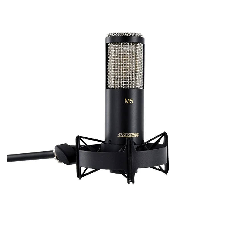 797Audio M5 Portable Wireless Recording Studio Condenser Microphone with External Sound Card Anchor Network for Church Use
797Audio M5 Portable Wireless Recording Studio Condenser Microphone with External Sound Card Anchor Network for Church Use