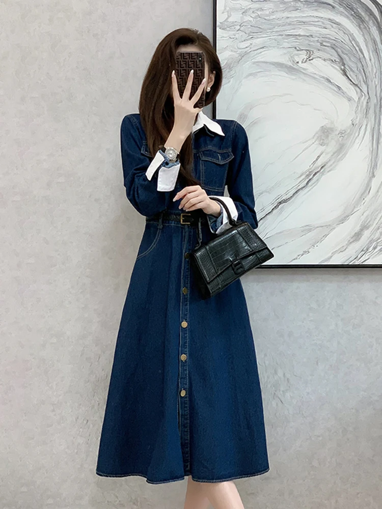 Aoaiiys Fake Two Denim Dress for Women Pocket High Waisted Single Breasted Long Dress Turn-down Collar Long Sleeves Casual Dress
Aoaiiys Fake Two Denim Dress for Women Pocket High Waisted Single Breasted Long Dress Turn-down Collar Long Sleeves Casual Dress