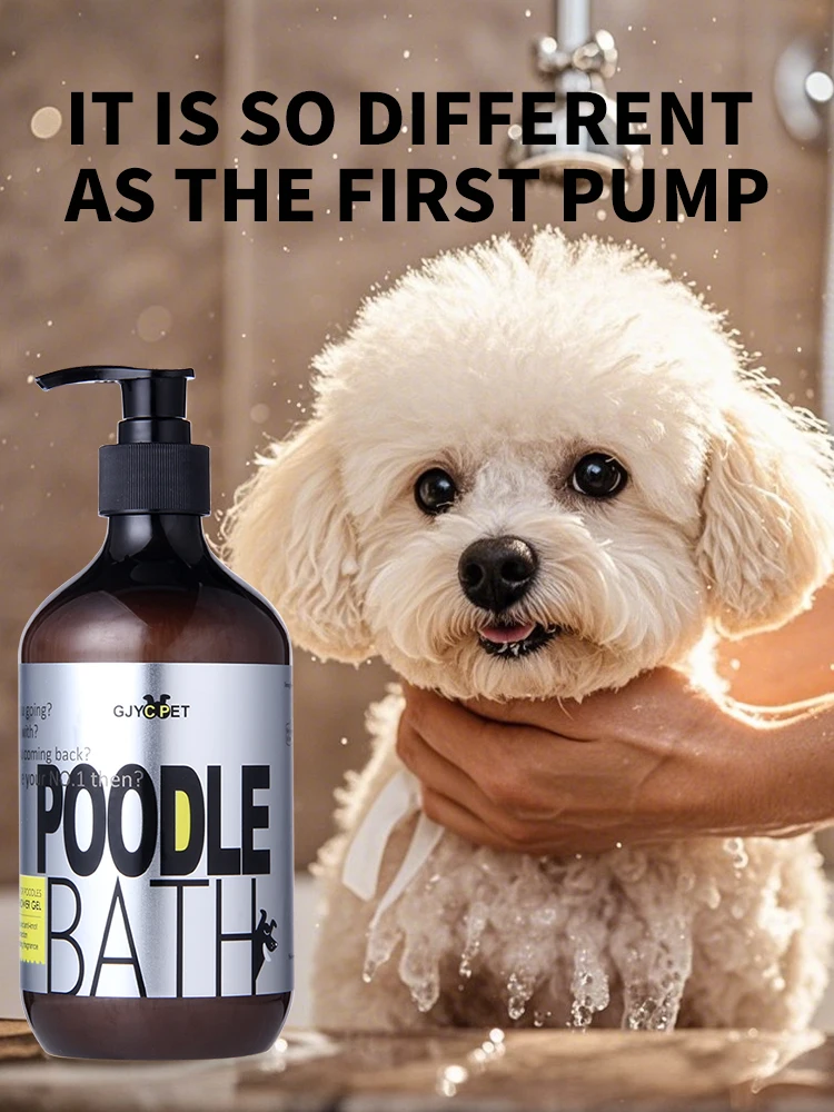 Dog Shampoo | Poodle Dog Shampoo A split-view image featuring a smiling tan Poodle on the left and a "Curly Bath" bottle on the right. Three grey circular icons at the bottom illustrate benefits: "Fluffy without knotting," "Color," and "Long lasting fragrance."