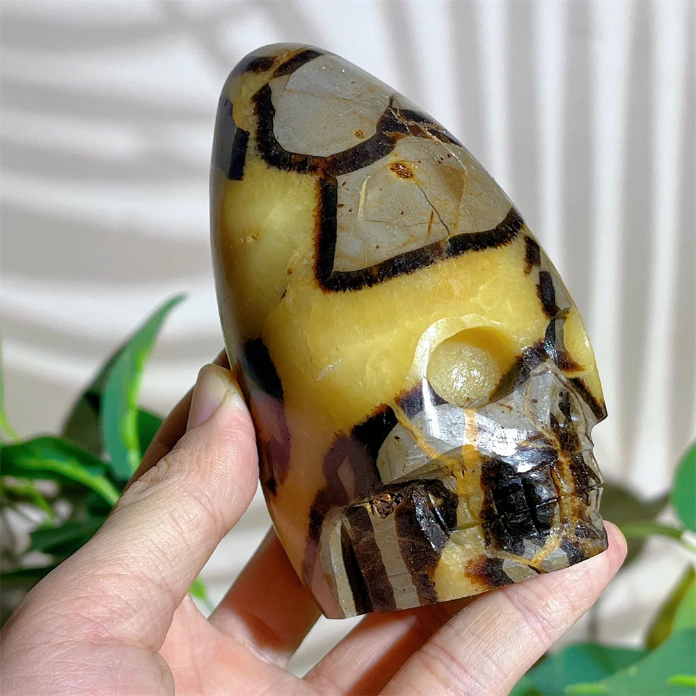 Septarium Skull Druzy Natural Crystal Handmad Carving Spiritual Minerals Feng Shui Reiki Stone Quartz Home Decoration
Septarium Skull Druzy Natural Crystal Handmad Carving Spiritual Minerals Feng Shui Reiki Stone Quartz Home Decoration