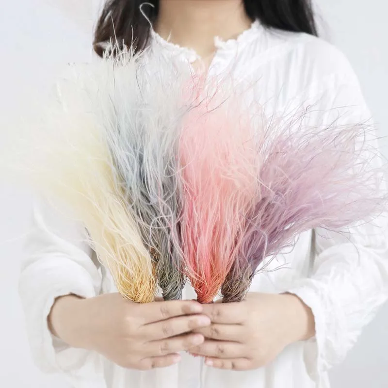 Dried Flower Fairy Grass Pampas for Boho Decor Wedding Bouquets and Flower Arrangement Feather Grass Home Marriage Decoration
Dried Flower Fairy Grass Pampas for Boho Decor Wedding Bouquets and Flower Arrangement Feather Grass Home Marriage Decoration