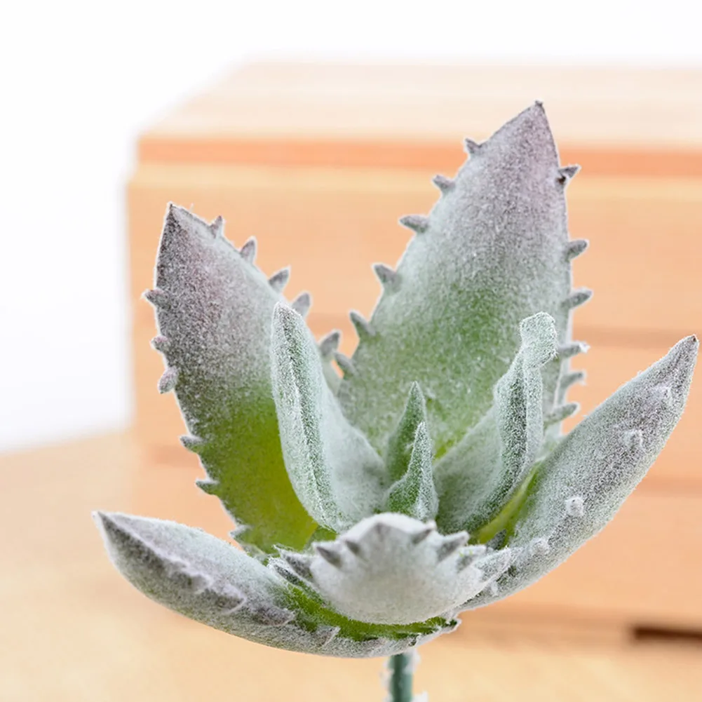 Artificial Mini Green Succulent Plants Fake Simulation Bonsai With Pots Decorative Mini Plants Desktop Ornaments Decor For Home
Artificial Mini Green Succulent Plants Fake Simulation Bonsai With Pots Decorative Mini Plants Desktop Ornaments Decor For Home