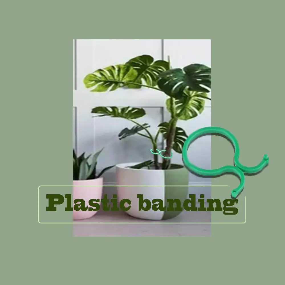 20PCS Plant Vine Clips Clamps 4cm Botany-Stem Fixed Clips Bandages Plant Supports Garden Cleaning Tools
20PCS Plant Vine Clips Clamps 4cm Botany-Stem Fixed Clips Bandages Plant Supports Garden Cleaning Tools