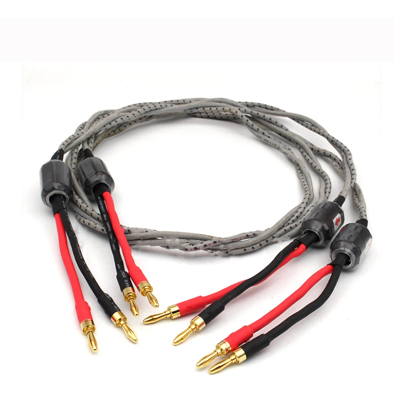 Hifi Speaker Cable with Banana Plug Golden Speaker Cable High Performance Speaker Amplifier Sound Connecting line
Hifi Speaker Cable with Banana Plug Golden Speaker Cable High Performance Speaker Amplifier Sound Connecting line