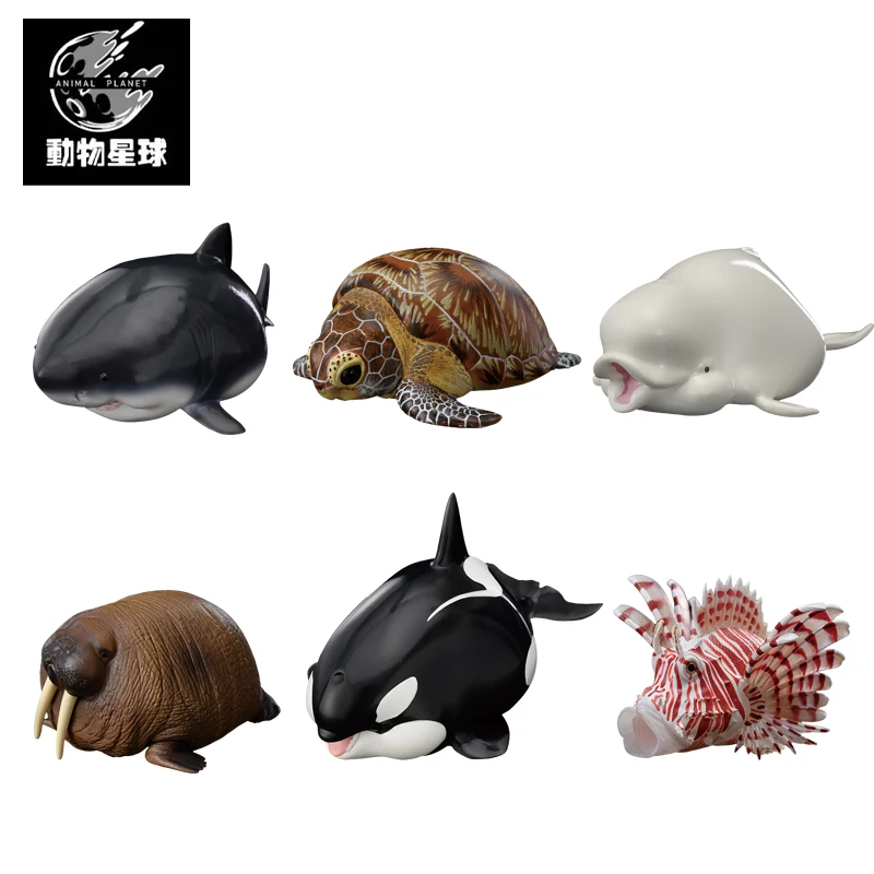 Animal Planet A SERIES OF LAUGH AND GROW FAT 04 Pterois Volitans Orcinus Orca Carcharodon Carcharias Delphinapterus Leucas
Animal Planet A SERIES OF LAUGH AND GROW FAT 04 Pterois Volitans Orcinus Orca Carcharodon Carcharias Delphinapterus Leucas