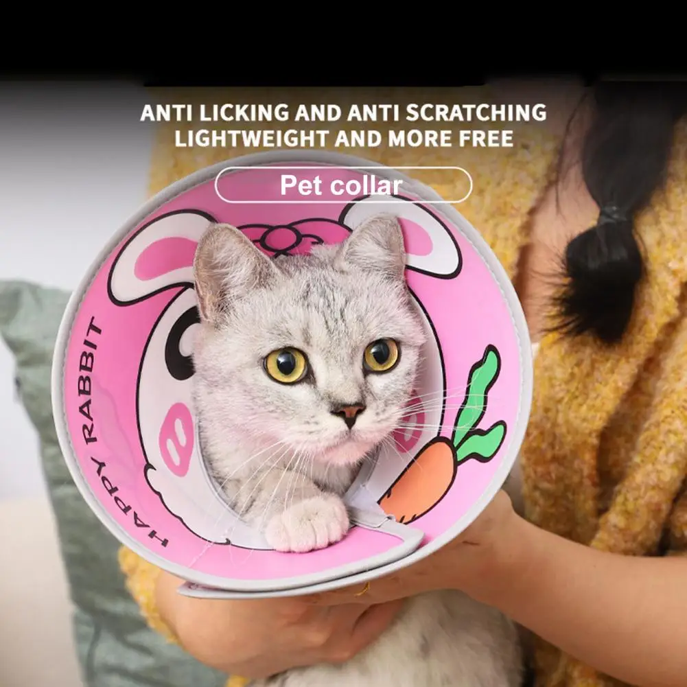 High-quality Cat Collar Adjustable Pet Collar with Comfortable Neck Cone for Cats Dogs Cartoon Pattern Recovery Collar Fastener
High-quality Cat Collar Adjustable Pet Collar with Comfortable Neck Cone for Cats Dogs Cartoon Pattern Recovery Collar Fastener