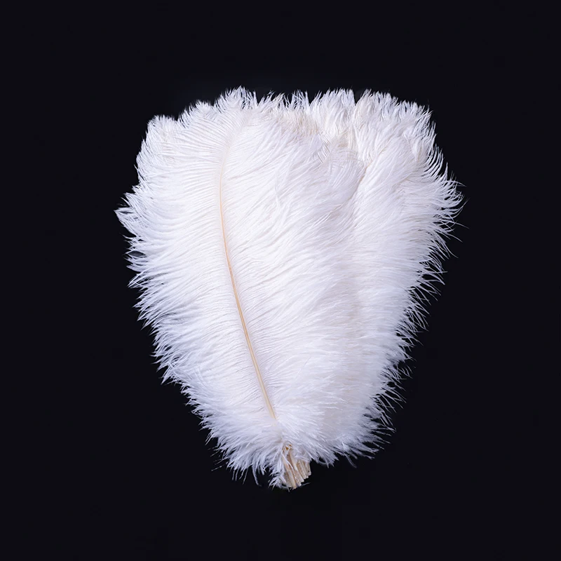 Plump and elegant 30-35cm (12-14-inch) ostrich feather dyed 100 diy international clothing Christmas party accessories 
Plump and elegant 30-35cm (12-14-inch) ostrich feather dyed 100 diy international clothing Christmas party accessories