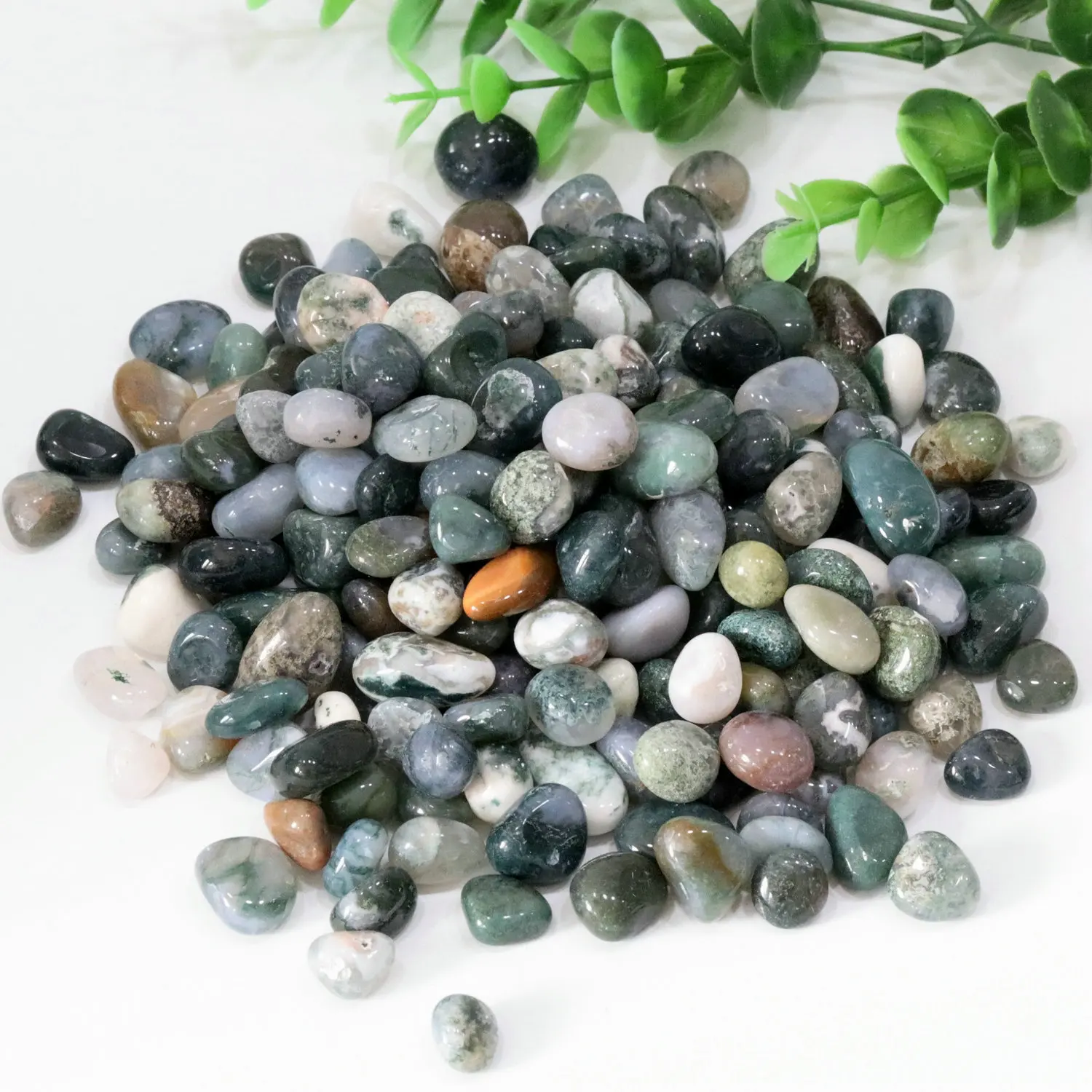 10-15mm 100g Wholesale Natural Moss Agate Gravel Specimen Healing Crystal Mineral Gem Aquarium Home Decor
10-15mm 100g Wholesale Natural Moss Agate Gravel Specimen Healing Crystal Mineral Gem Aquarium Home Decor