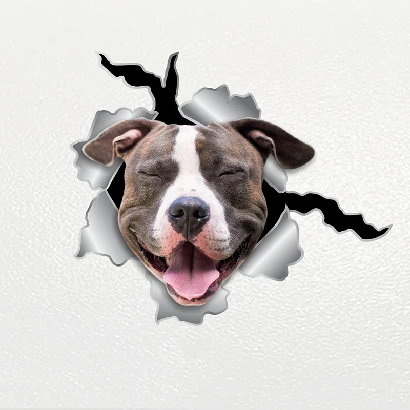 V1133# Car Sticker PitBull Dog V4 Pet Waterproof Vinyl Decal Car Accessories Decor Pegatinas Para Coche
V1133# Car Sticker PitBull Dog V4 Pet Waterproof Vinyl Decal Car Accessories Decor Pegatinas Para Coche