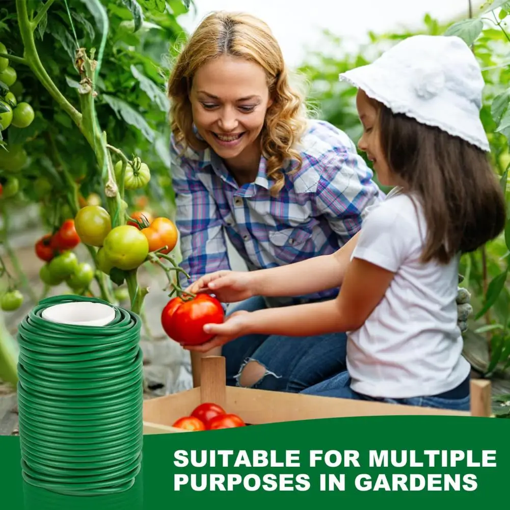 Garden Ties for Plants Outdoor Use Plant Ties Soft Flexible Garden Ties Essential Plant Wire for Supporting Fixing Climbing
Garden Ties for Plants Outdoor Use Plant Ties Soft Flexible Garden Ties Essential Plant Wire for Supporting Fixing Climbing