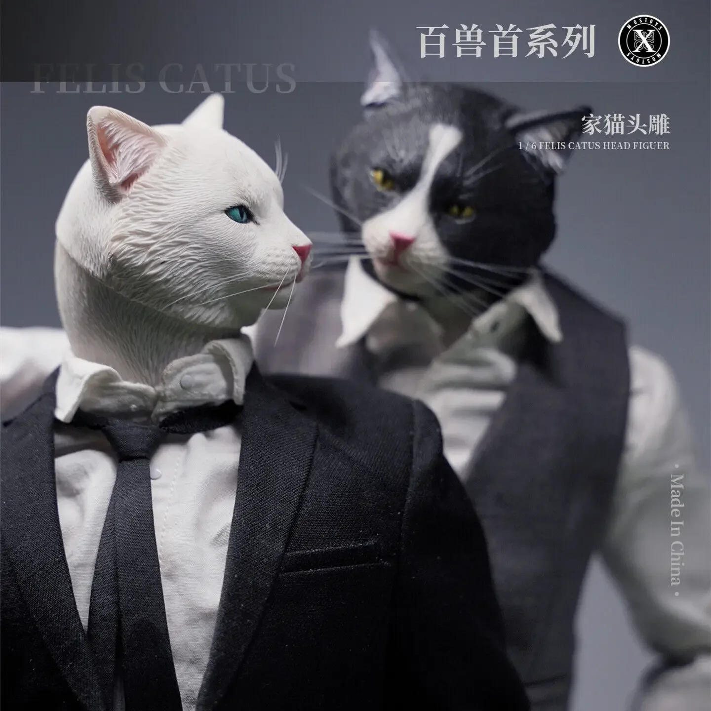 Mostoys 1/6 Felis Catus Head Figure Cat Animal GK Collector Decoration Soldier Body Accessories Realistic Gift Toy
Mostoys 1/6 Felis Catus Head Figure Cat Animal GK Collector Decoration Soldier Body Accessories Realistic Gift Toy