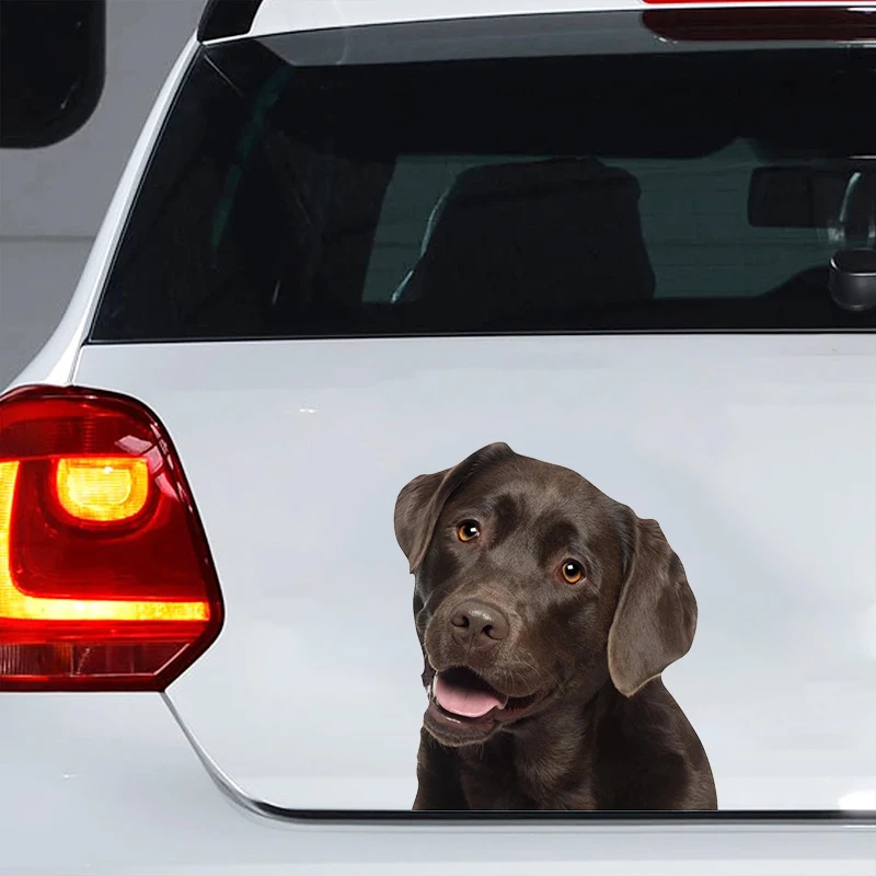 Labrador Dog Car Sticker Waterproof Vinyl Decal Car Accessories Decor Pegatinas Para Coche #V1358
Labrador Dog Car Sticker Waterproof Vinyl Decal Car Accessories Decor Pegatinas Para Coche #V1358