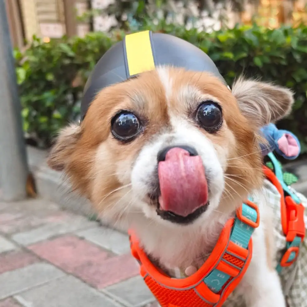 Pet Helmet For Dogs ABS Pet Helmet Rugby Hat Fastener Tape Helmet Protective Gear with Ear Hole Motorcycle Dog Helmet
Pet Helmet For Dogs ABS Pet Helmet Rugby Hat Fastener Tape Helmet Protective Gear with Ear Hole Motorcycle Dog Helmet