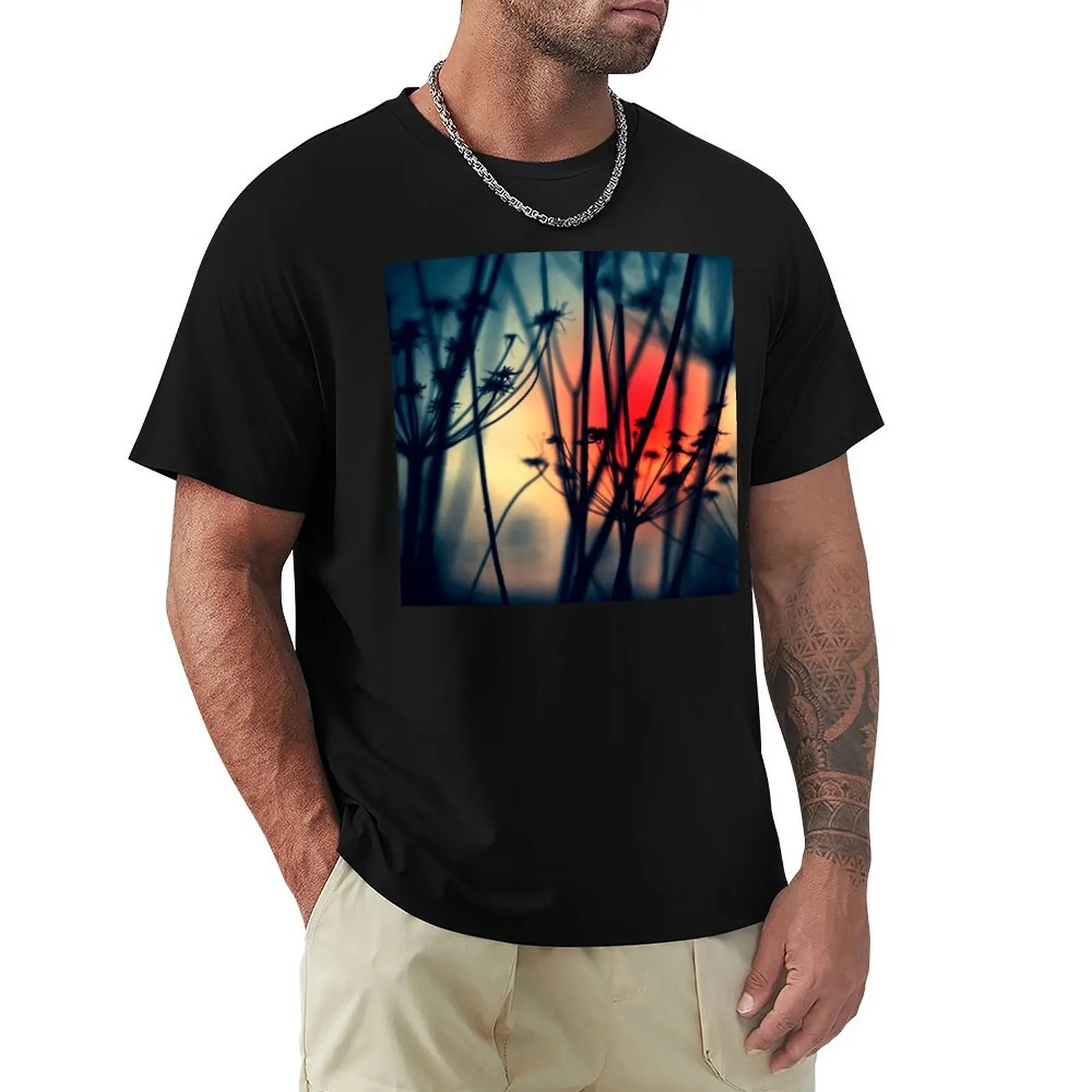 

Shapes of Decay - Silhouettes of dry Weeds against colourful lights T-Shirt funnys summer clothes blanks mens white t shirts