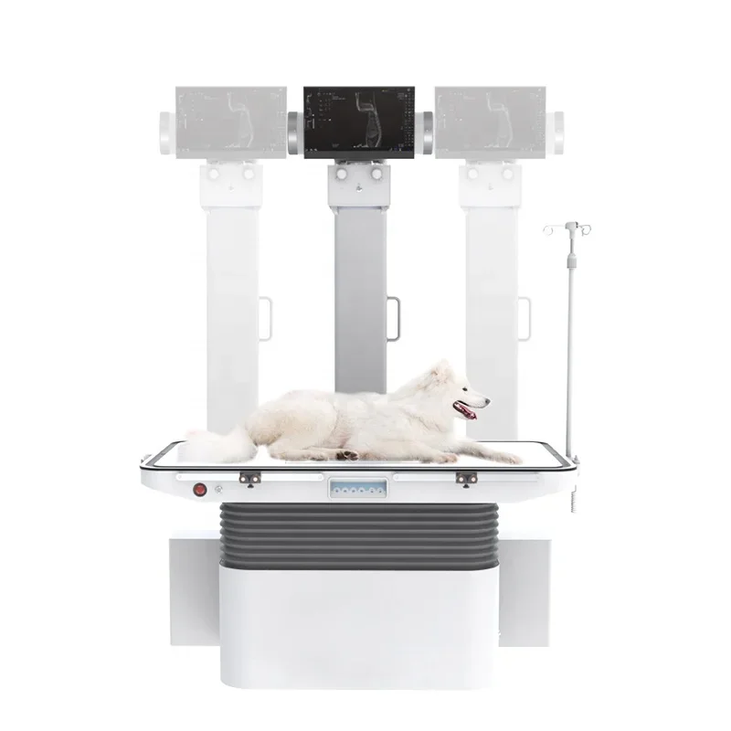 Veterinary X Ray Price Dog DR Detector Animal Digital Pet X-ray Machine Radiography X Ray Pet Dynamics DR
Veterinary X Ray Price Dog DR Detector Animal Digital Pet X-ray Machine Radiography X Ray Pet Dynamics DR