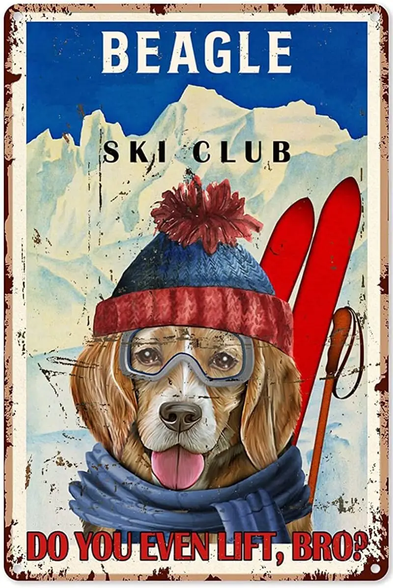 Skier Decor Girls Born with The Mountain Skiing Vintage Metal Tin Signs Bar Novelty Garage Plaque Holiday Tin Signs Wall Decor
Skier Decor Girls Born with The Mountain Skiing Vintage Metal Tin Signs Bar Novelty Garage Plaque Holiday Tin Signs Wall Decor