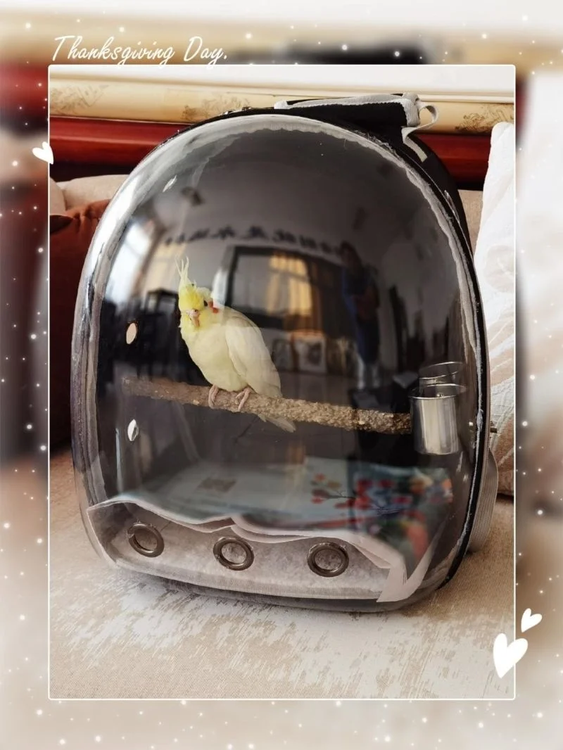 S3b7220d51d32484cb2801790e6982615s