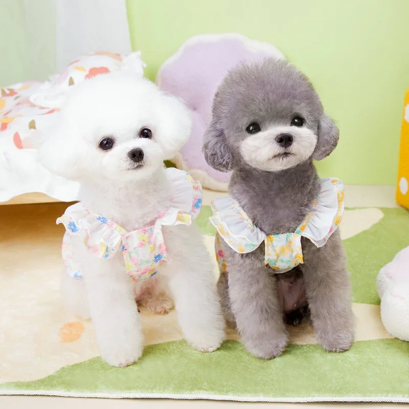 Pet Dog Shredded Skirt Summer Colorful Clothes Teddy Outdoor Traction Set Bichon Casual Pullover Puppy Dresses
Pet Dog Shredded Skirt Summer Colorful Clothes Teddy Outdoor Traction Set Bichon Casual Pullover Puppy Dresses