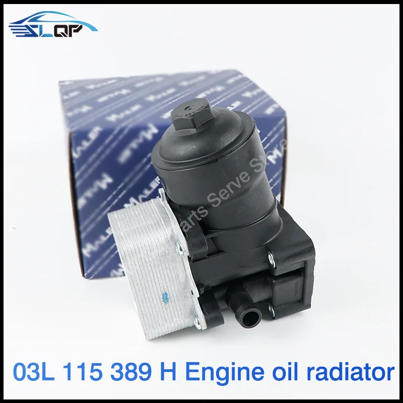 A3 Q3 Skoda Wild Emperor Express Jetta Beetle Tiguan Maiteway Golf 6cc1.6 2.0ti03l115 389b/c/g/h Oil Filter Assembly
A3 Q3 Skoda Wild Emperor Express Jetta Beetle Tiguan Maiteway Golf 6cc1.6 2.0ti03l115 389b/c/g/h Oil Filter Assembly