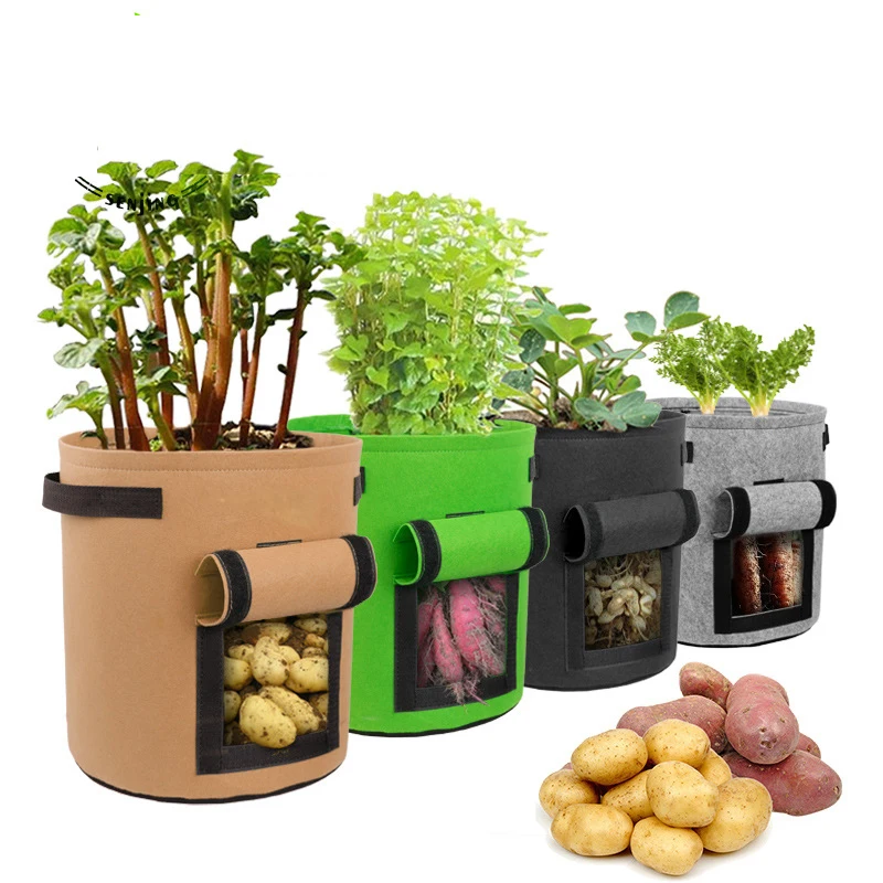 Plant Growing Bags Vegetable Grow Bags with Handle Thickened Growing Bag Potato Onion Bag Outdoor Garden Pots
Plant Growing Bags Vegetable Grow Bags with Handle Thickened Growing Bag Potato Onion Bag Outdoor Garden Pots