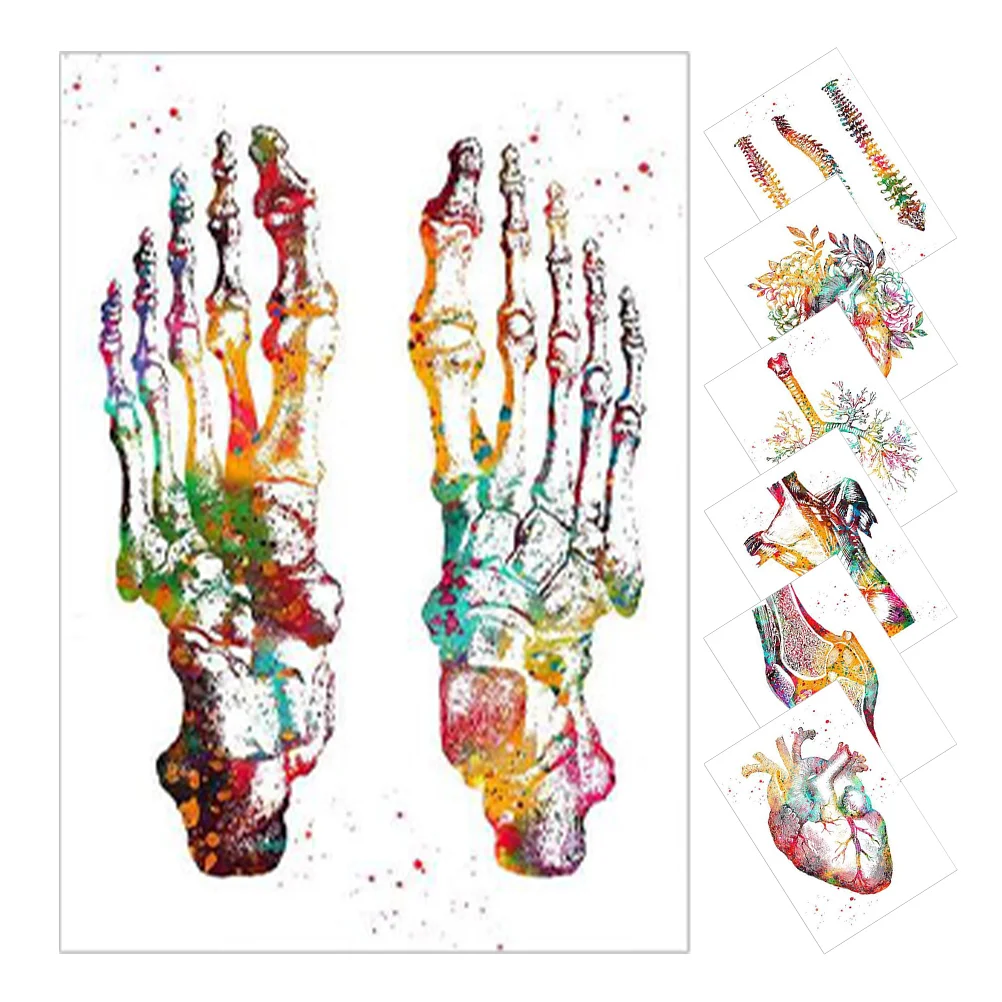 7pcs Hanging Wall Decors Human Spine Poster Modern Wall Hospital Hanging Painting
7pcs Hanging Wall Decors Human Spine Poster Modern Wall Hospital Hanging Painting