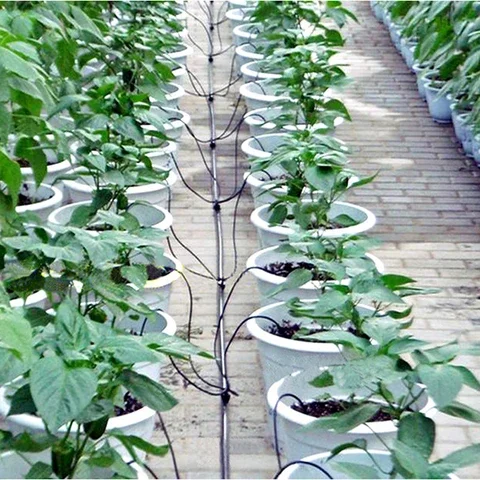 200Pcs Garden Hose 1/8 Inch Curved Dripper Automatic Irrigation Emitter for Potted Plants Agriculture Water Drop Irrigation
200Pcs Garden Hose 1/8 Inch Curved Dripper Automatic Irrigation Emitter for Potted Plants Agriculture Water Drop Irrigation