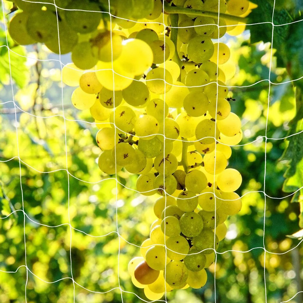 Climbing Net Flower Garden Netting Scaffolding Plant Vine Polyester Fruits Support
Climbing Net Flower Garden Netting Scaffolding Plant Vine Polyester Fruits Support
