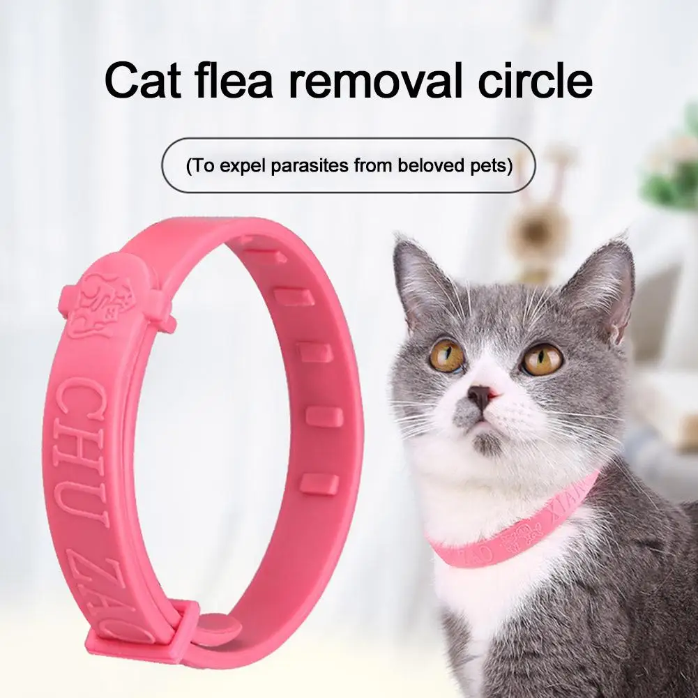 Pet Essential Oil Collar Safe Natural Anti Flea Mite Insecticide Tools Cats Protection Pet Mosquito Collar Dogs Adjustable P4T9
Pet Essential Oil Collar Safe Natural Anti Flea Mite Insecticide Tools Cats Protection Pet Mosquito Collar Dogs Adjustable P4T9